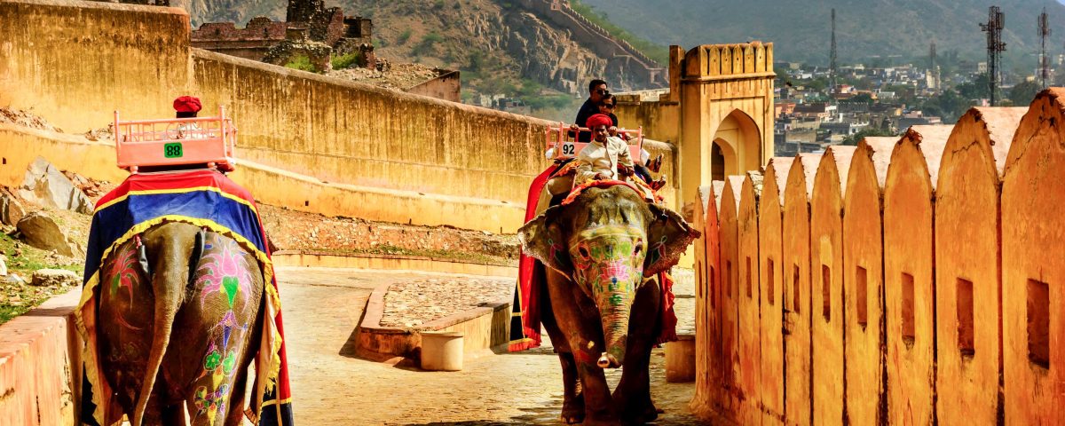 Elephant Ride at Amer Fort
