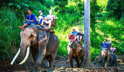 Elephant Ride