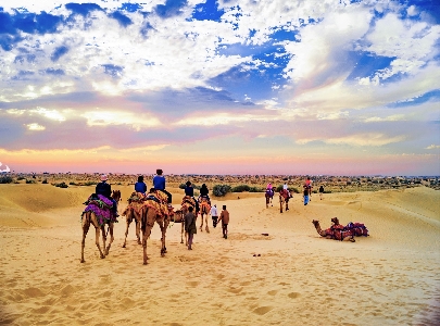 rajasthan tour planner, tour planners, tour planners in rajasthan, tours to rajasthan, rajasthan tour package, rajasthan tourism, rajasthan tourism india, india tourism, rajastha tour travels, rajasthan tours, rajasthan tour packages, rajasthan holidays, rajasthan vacations , rajasthan holiday packages, tour package for rajasthan, rajasthan budget tour package, luxury tours of rajasthan, rajasthan heritage tour, luxury rajasthan tour packages, tourism rajasthan, tourism of rajasthan