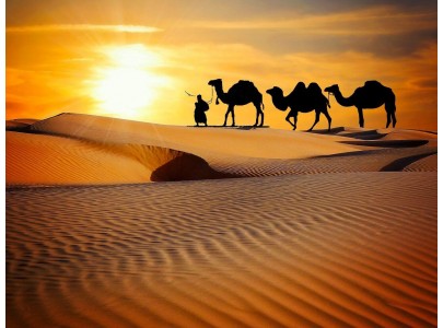 rajasthan winter tours | winter tour packages | winter tours india | winter tours in india | best winter tours in india | india winter tourism | winter tourism places in india | india winter tourist places | tourist places in india winter season | winter tourist destination in india | tourist places north india winter 