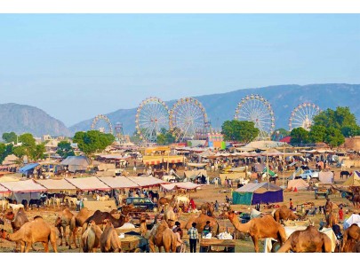 Special Interest Tour India, Special Interest Tour Packages