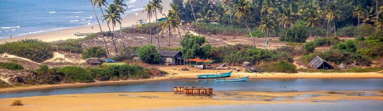 Things to Do in Goa with Kids: A Complete Family Travel Guide