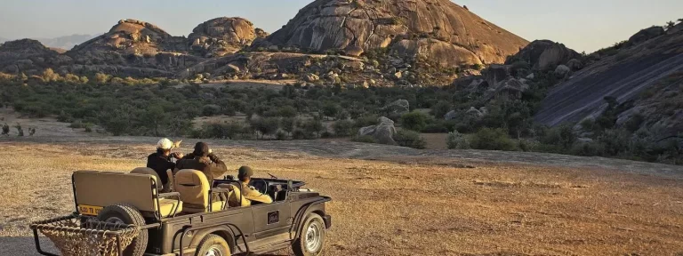 How Does Jawai DMC Design Exclusive Luxury Travel Packages