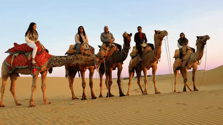 Experience Jaisalmer Premium Stays for an Unforgettable Desert Escape