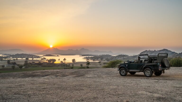 Experience Jawai through the Expertise of a Rajasthan Destination Management Company