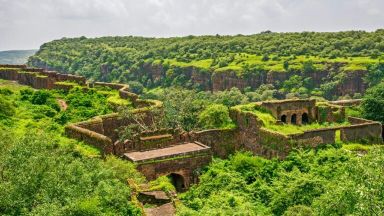 Ranthambore DMC for Tailor-Made Wildlife and Rajasthan Tours